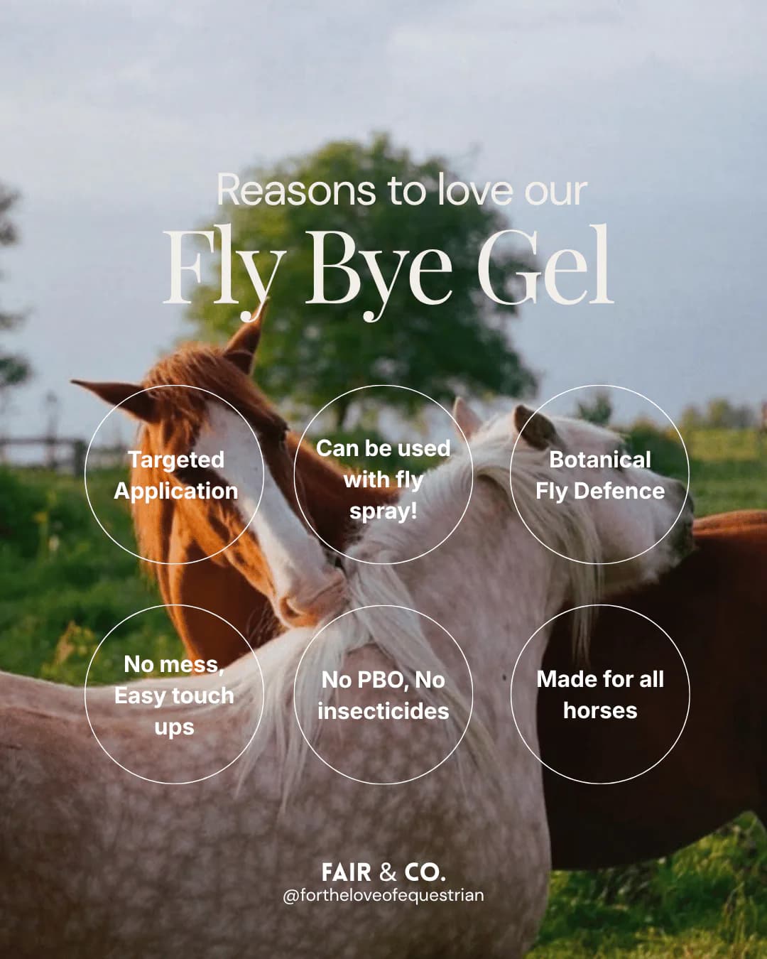 Fair&Co Fly Bye - Fly Protection Gel 2
